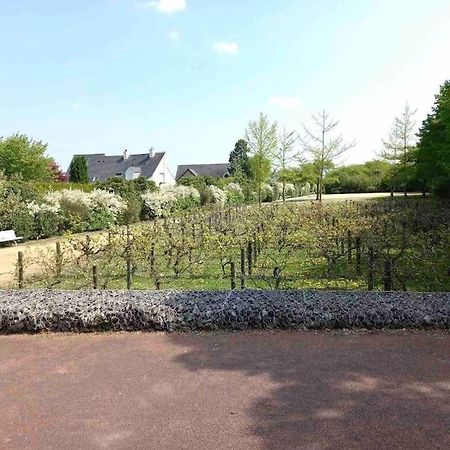 Le Domaine Reserve , Parking Et Ecrin De Verdure أميا المظهر الخارجي الصورة